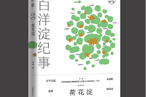荷花淀孙犁经典散文 : 孙犁经典散文
