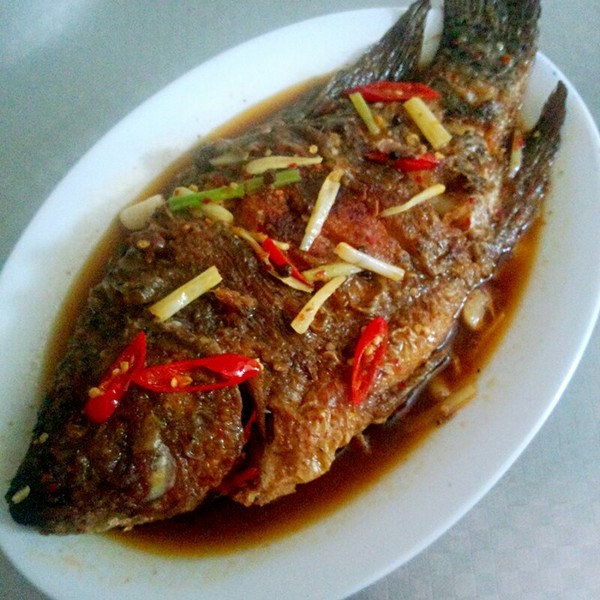 红烧罗非鱼