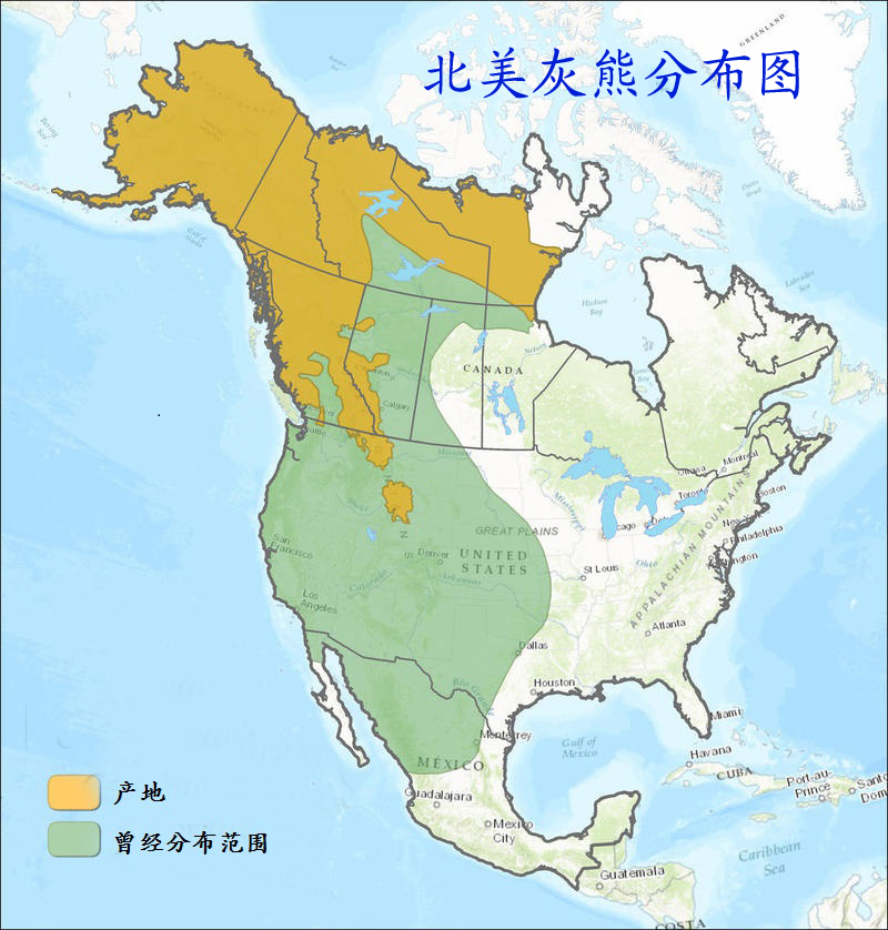  /i>):是哺乳纲,熊科的 a target="_blank" href="/item/棕熊/370530"