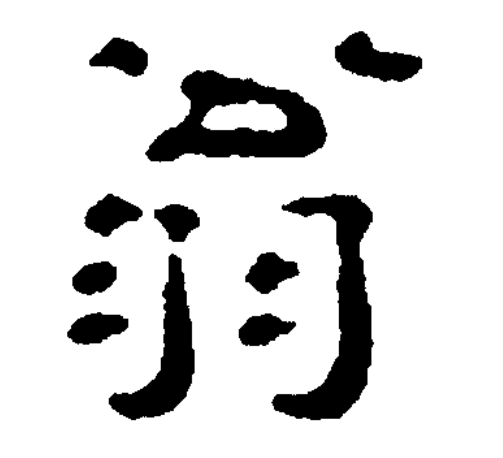  p data-id="tr6hjv36l6vw">翁(拼音:wēng,wěng),是汉语通用规范