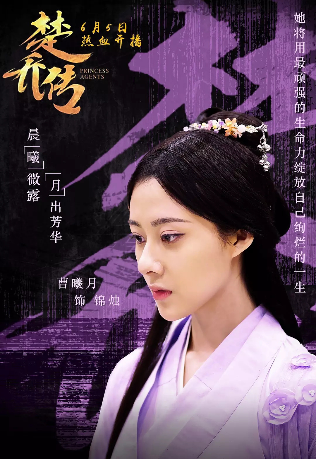 25">锦烛,电视剧《 a target="_blank" href="/item/楚乔传/17156299"