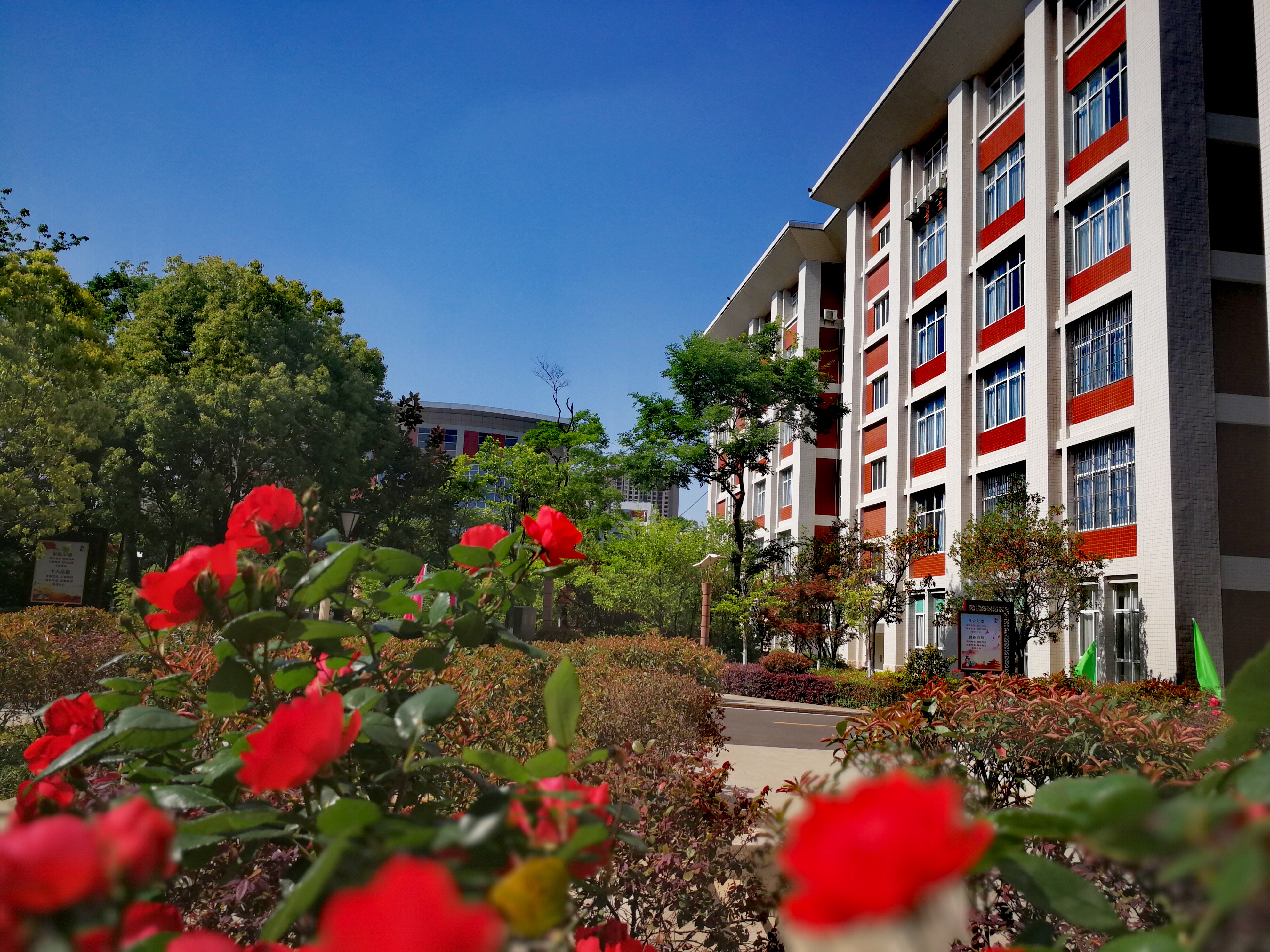 曲靖市第一中学