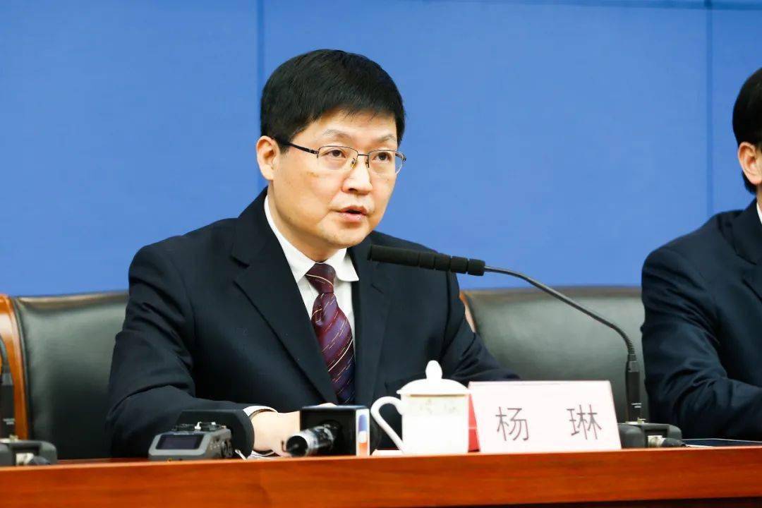 杨琳