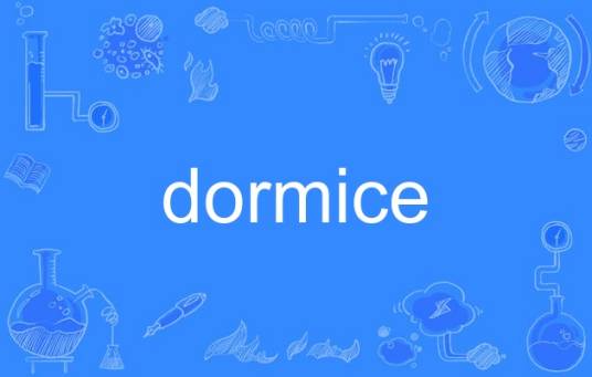 dormice_百度百科