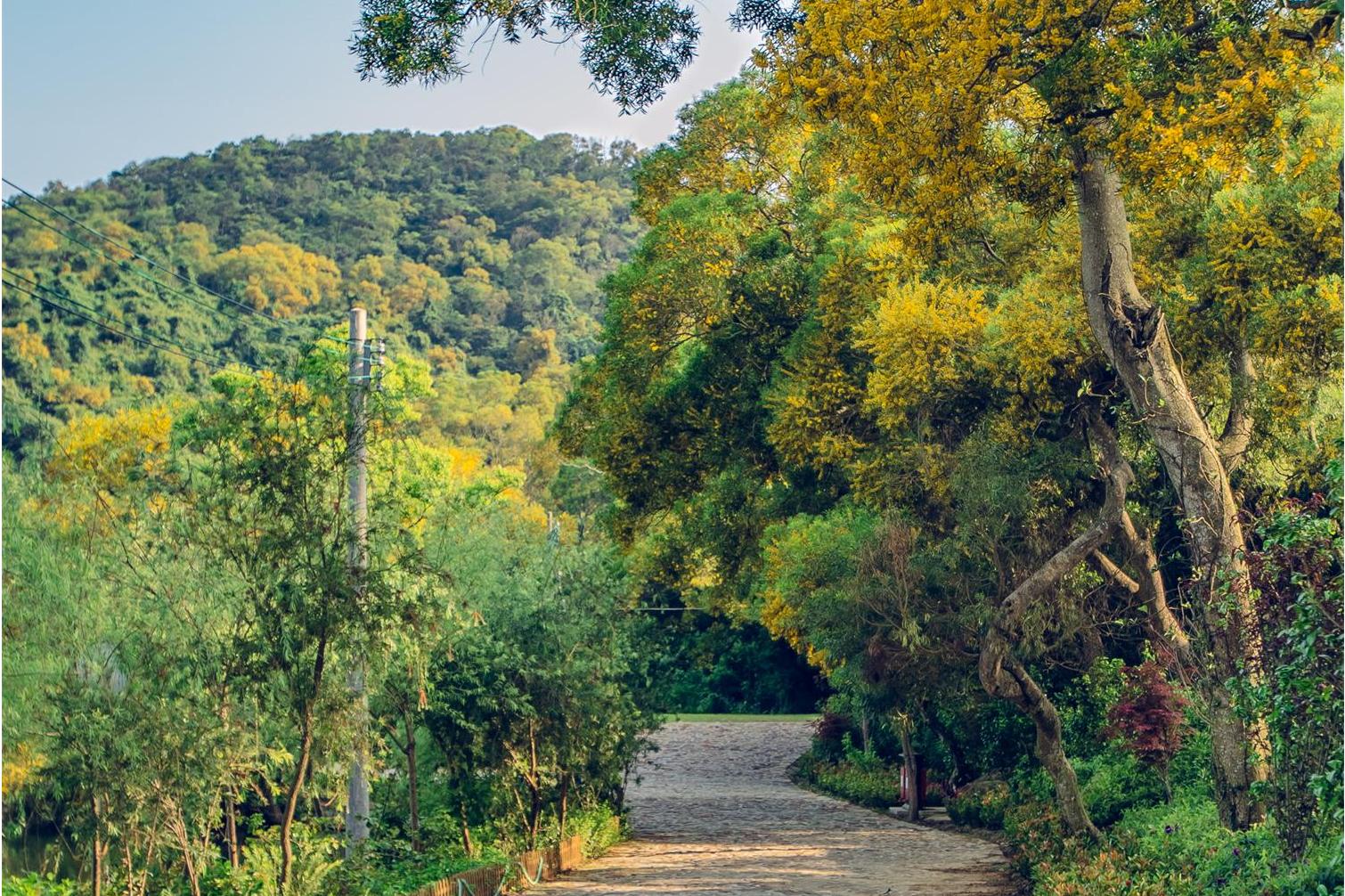  p>黄花山是位于济南市历城区的一座山. /p>
