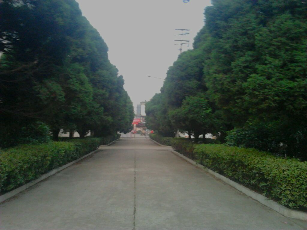  p data-id="gnhgg22qjo">蒙城八中位于安徽省蒙城县,蒙城县是古代