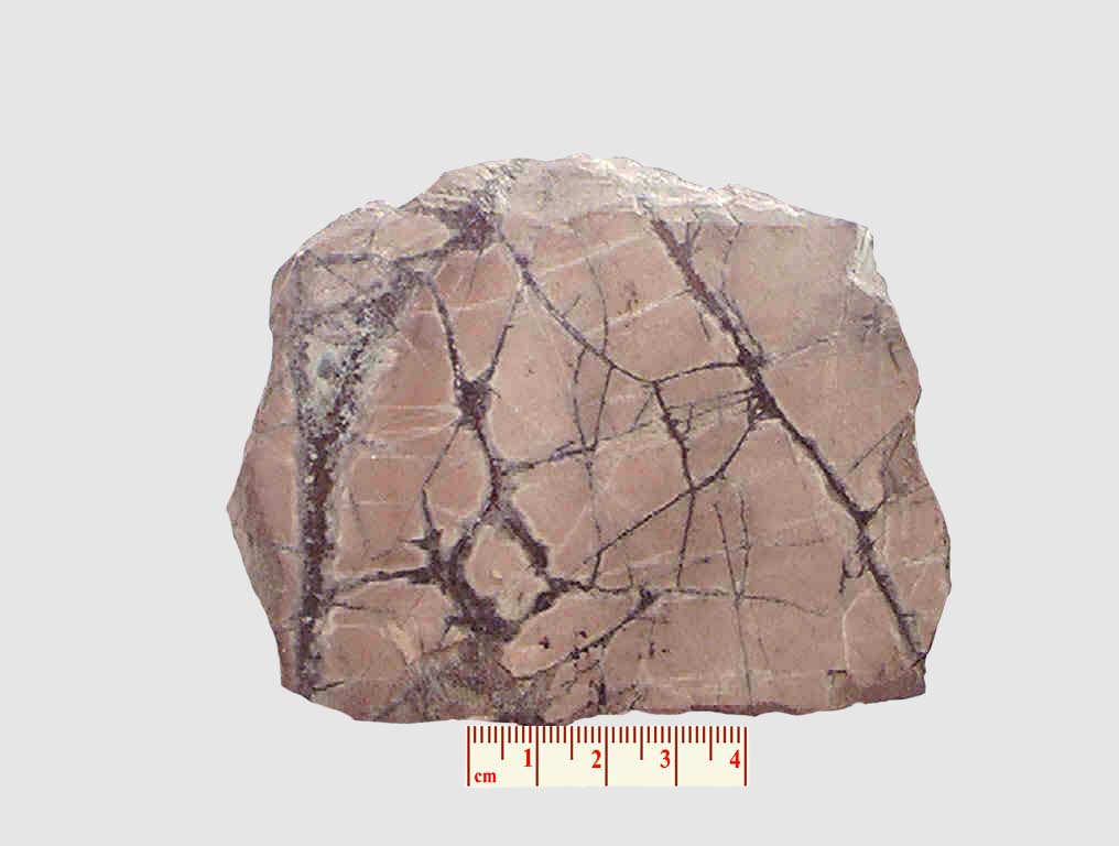  p>条带状构造(banded structure),指一般用于描述某些变质岩或热液