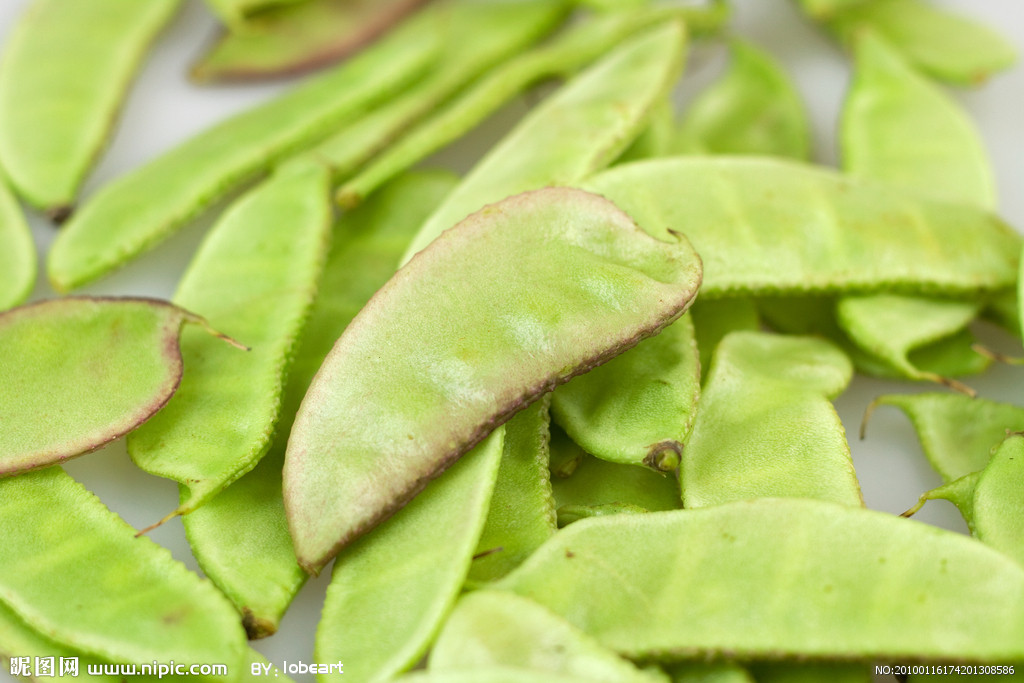  p>扁豆(学名: i>lablab purpureus /i> (linn.