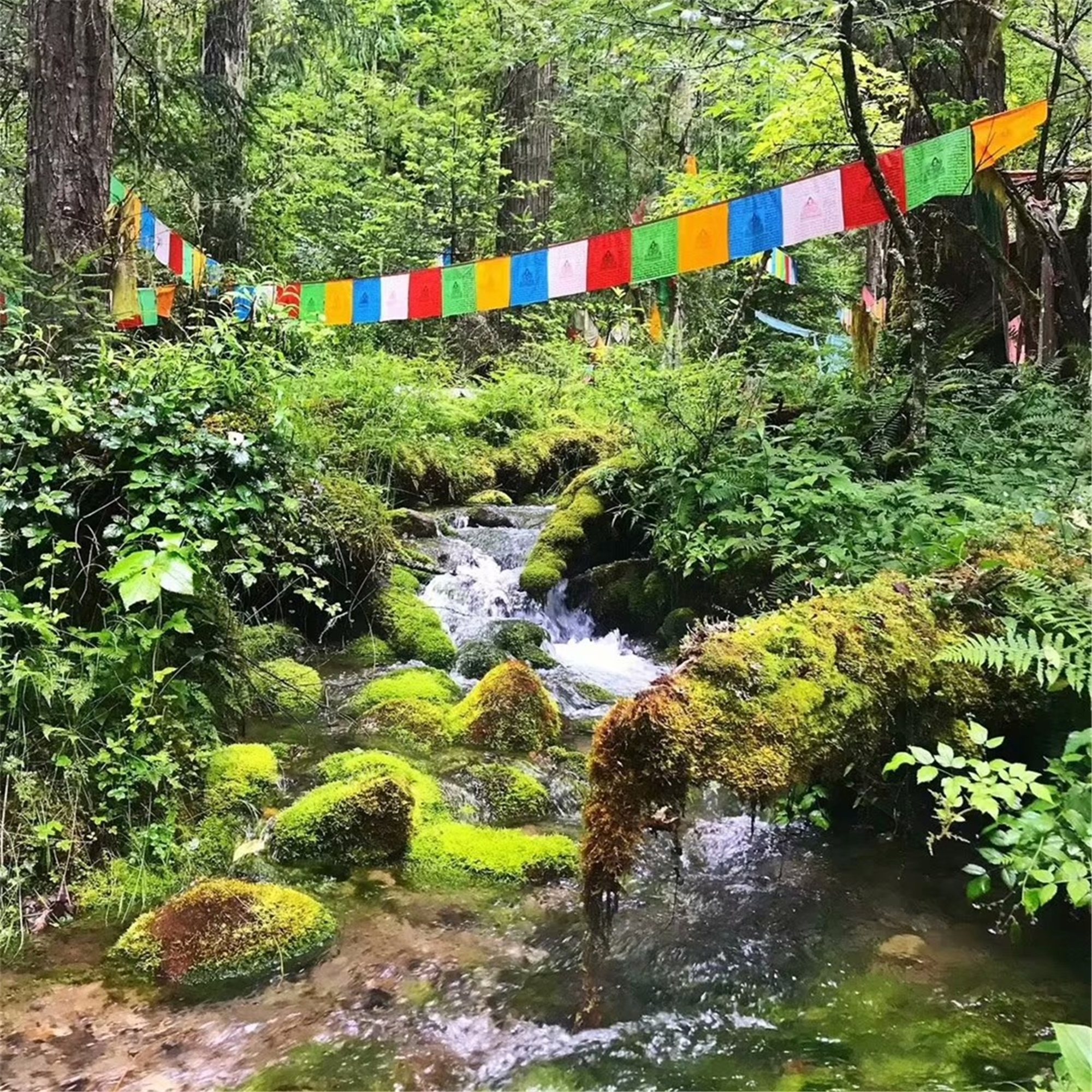 卓龙沟