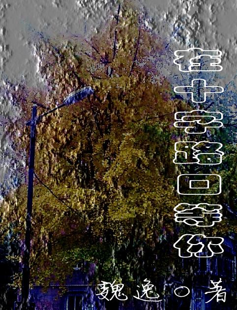 在十字路口等你