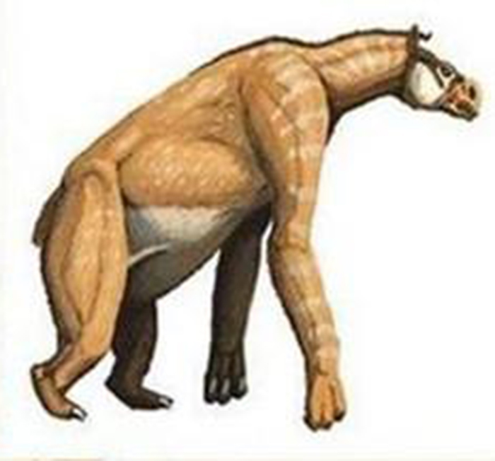  p>砂犷兽是爪兽科的一种动物.