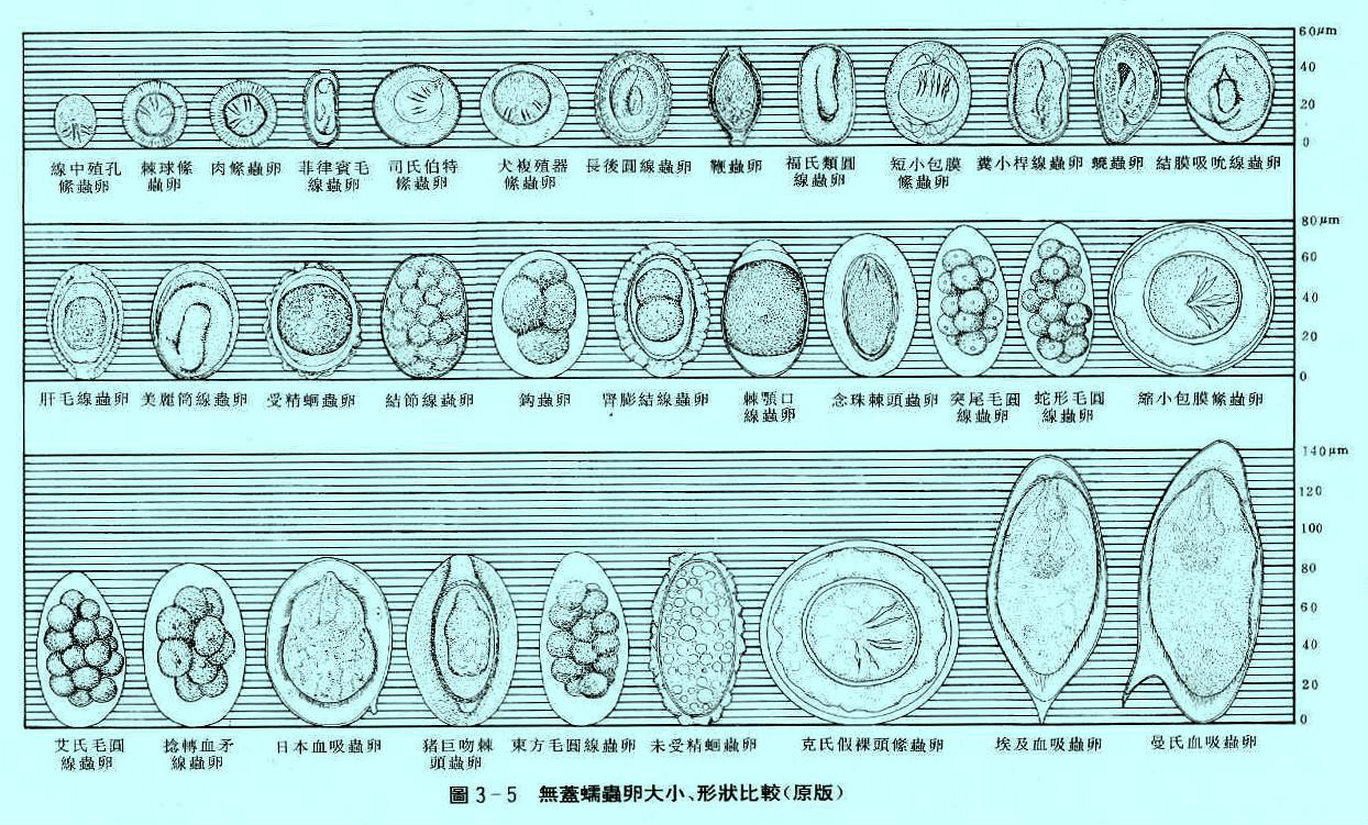  p>人体寄生虫指以人作为宿主之寄生虫.