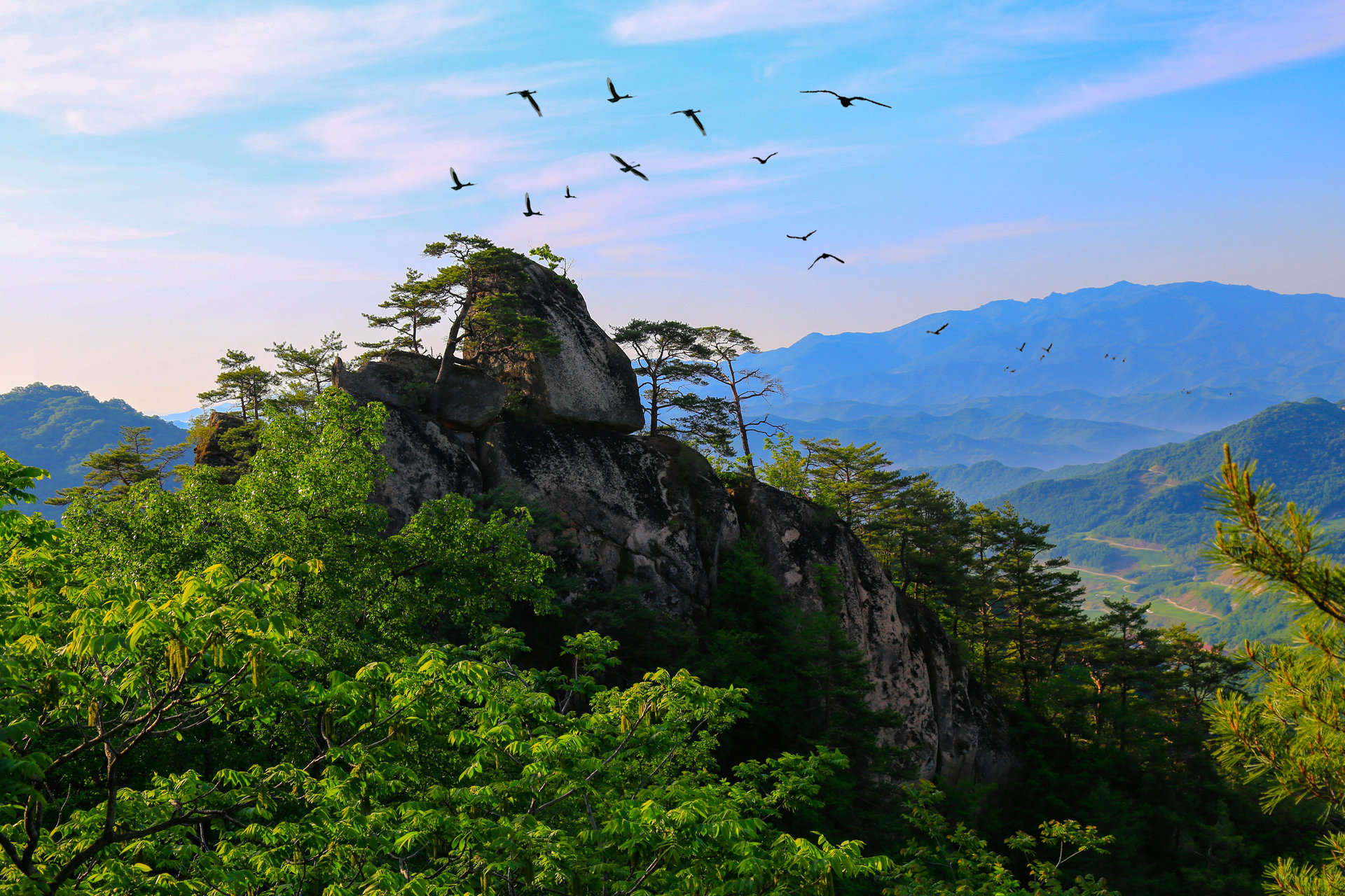天桥沟国家森林公园