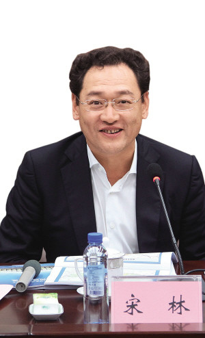  p>宋林,男,汉族,1963年2月出生,山东乳山人.同济大学工程力学学士.