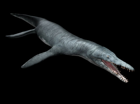  p>上龙是一种已灭绝 a href="#" data-lemmai