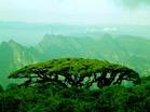 圣堂山