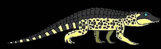  p>这种早期 a href="#" data-lemmaid="328752">鳄鱼 /a>是一种生活