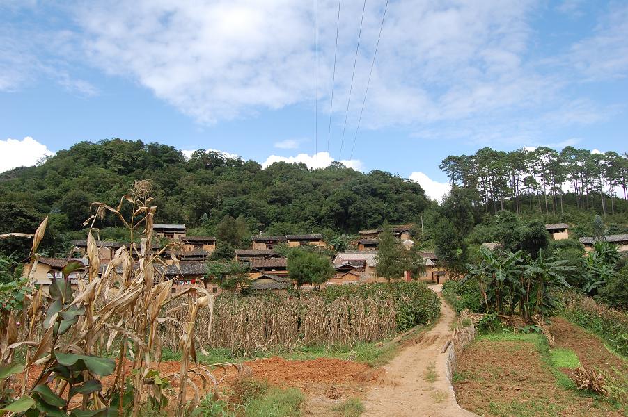  p>安来村隶属于云南省文山州砚山县阿猛镇顶丘村民委,属于山区. /p>