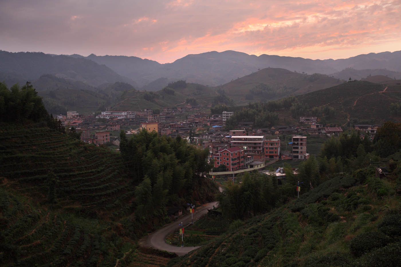  p>福建省泉州市安溪县感德镇 龙通村 ,村民收入主要以种植业,养殖业