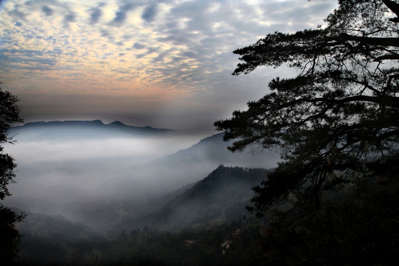 金城山森林公园