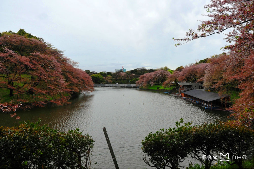 data-id="gnwmy8n17b">位于 a target="_blank" href="/item/靖国神社