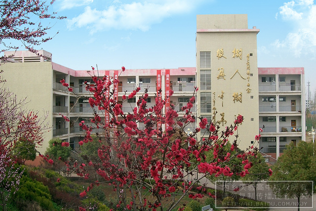  p>内乡实验高中(neixiang experimental high school )始建于1977年