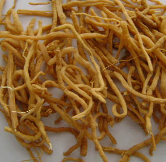 怡心养颜橙花茶