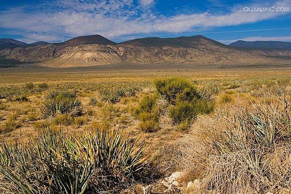  p>沙漠植物泛指在沙漠环境条件下,能 a href="#" data-lemmaid="