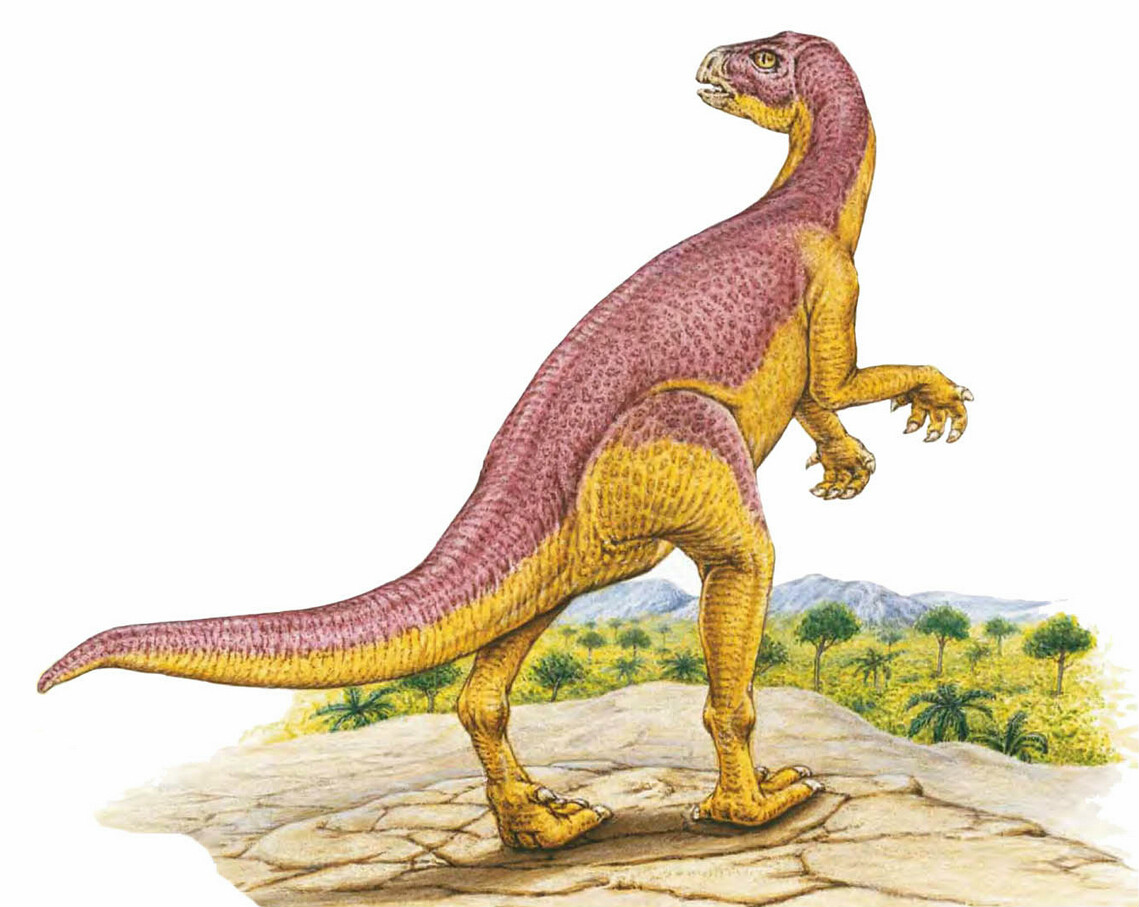  p>晓龙属(属名:xiaosaurus)是种小型,二足,草食性恐龙.
