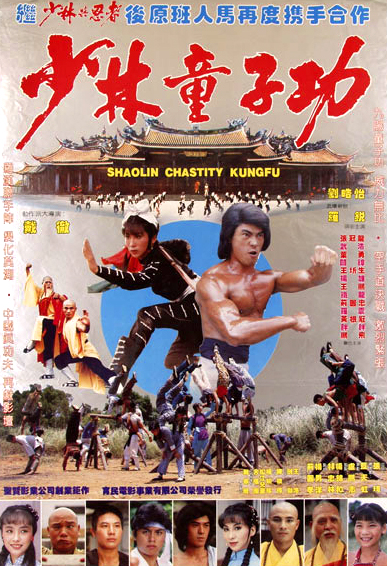 《少林童子功》是由戴彻导演,罗锐,刘皓怡,剑勋主演的一部台湾电影