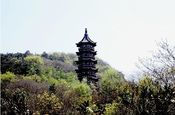 龙山宝塔