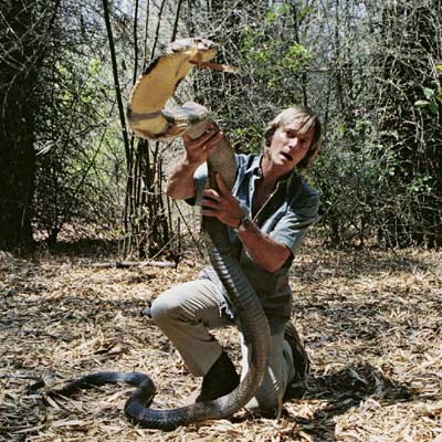 奥斯汀-史蒂文斯