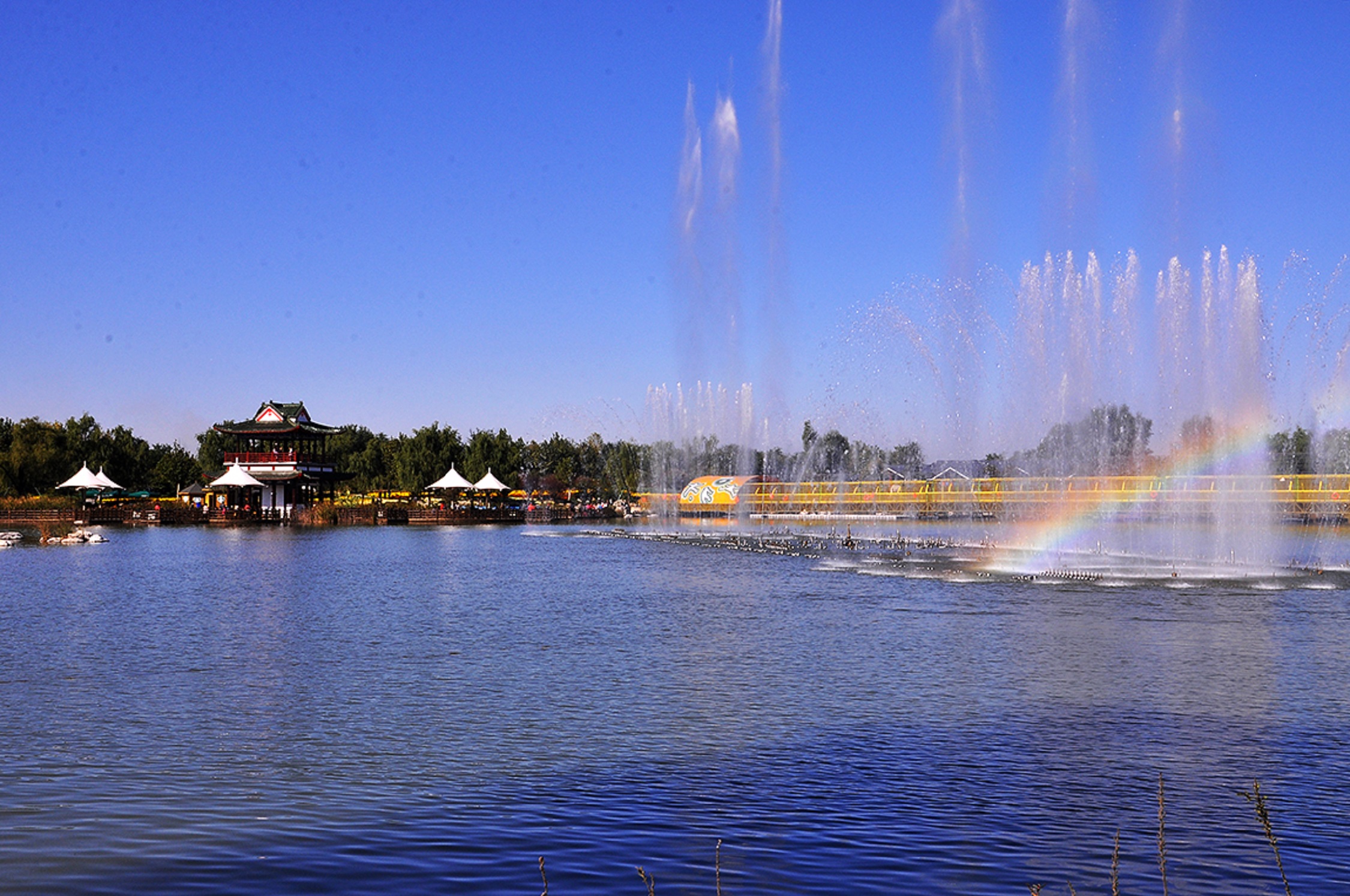  p>北京国际鲜花港是北京市政府规划的北京市唯一的专业花卉产业园区