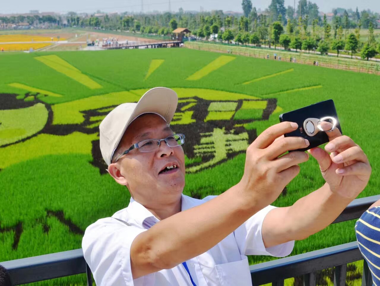 城头山稻田彩绘