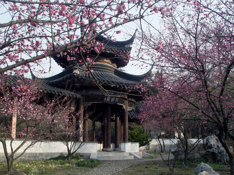  p>南京雨花台风景名胜区位于 a target="_blank" href="/item/南京市