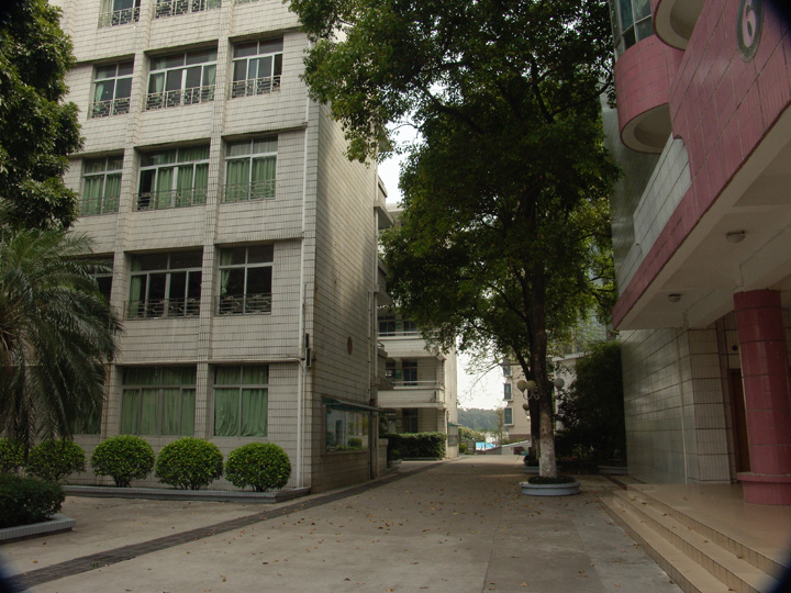 广州市八十九中学