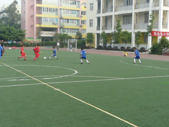 成都市双流区胜利小学