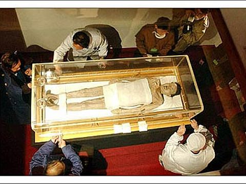  p data-id="gnx1ooyrjc">马王堆汉墓古尸是指1972年 a target="