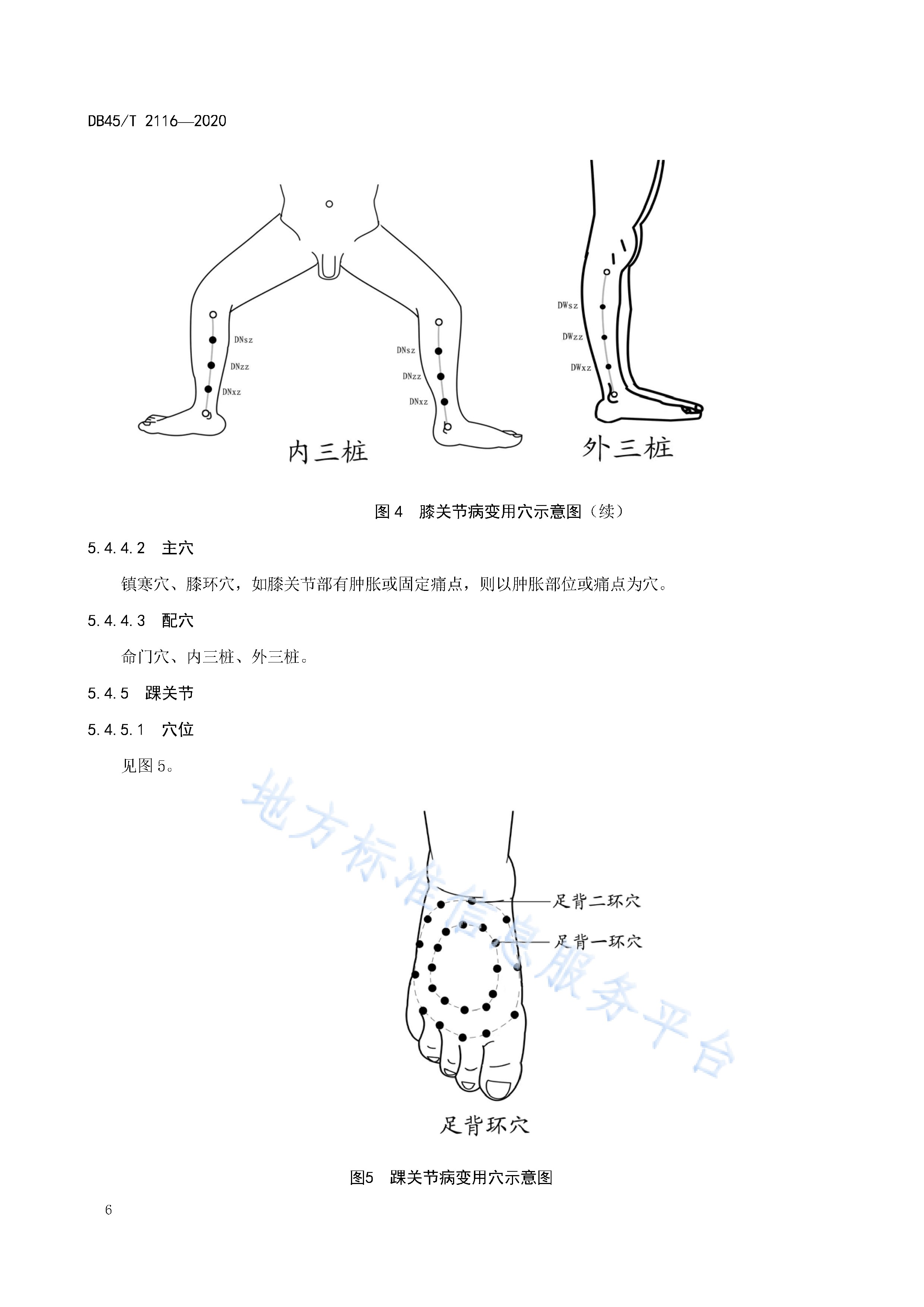  p>《壮医热敏探穴针刺疗法治疗发旺技术规范》(db45/t2116-2020)是