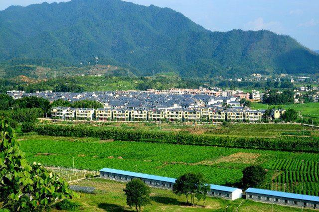  p>大桥镇,隶属江西省九江市 a target="_blank" href="/item/修水县