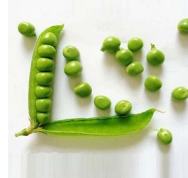 青豌豆 穿越时间长河的绝味小清新 百科ta说