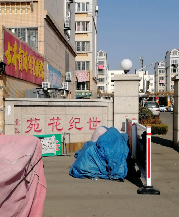 世纪花苑北区