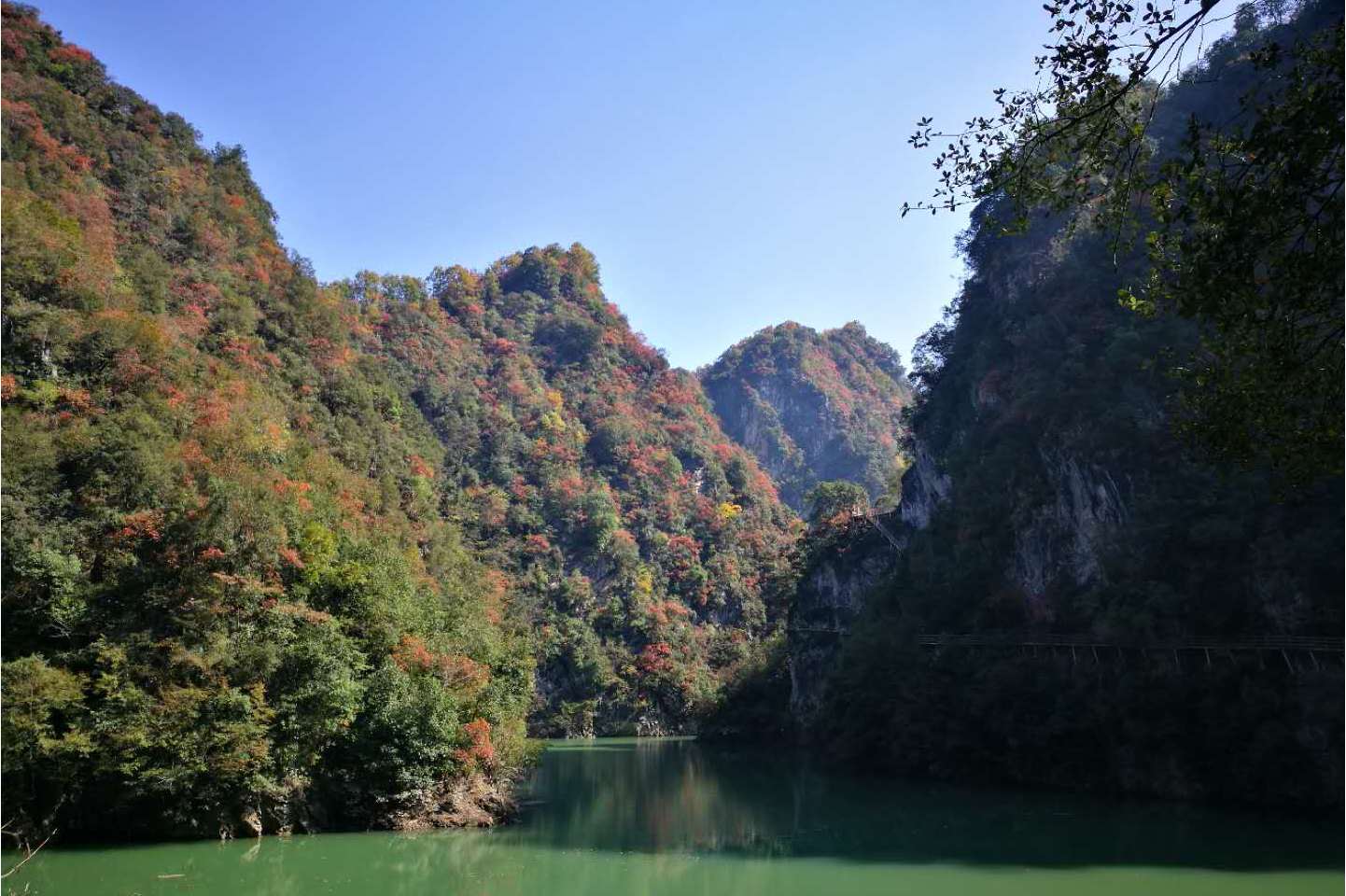 ϼԴƺϿ·_ԴƺϿס_ԴƺϿ