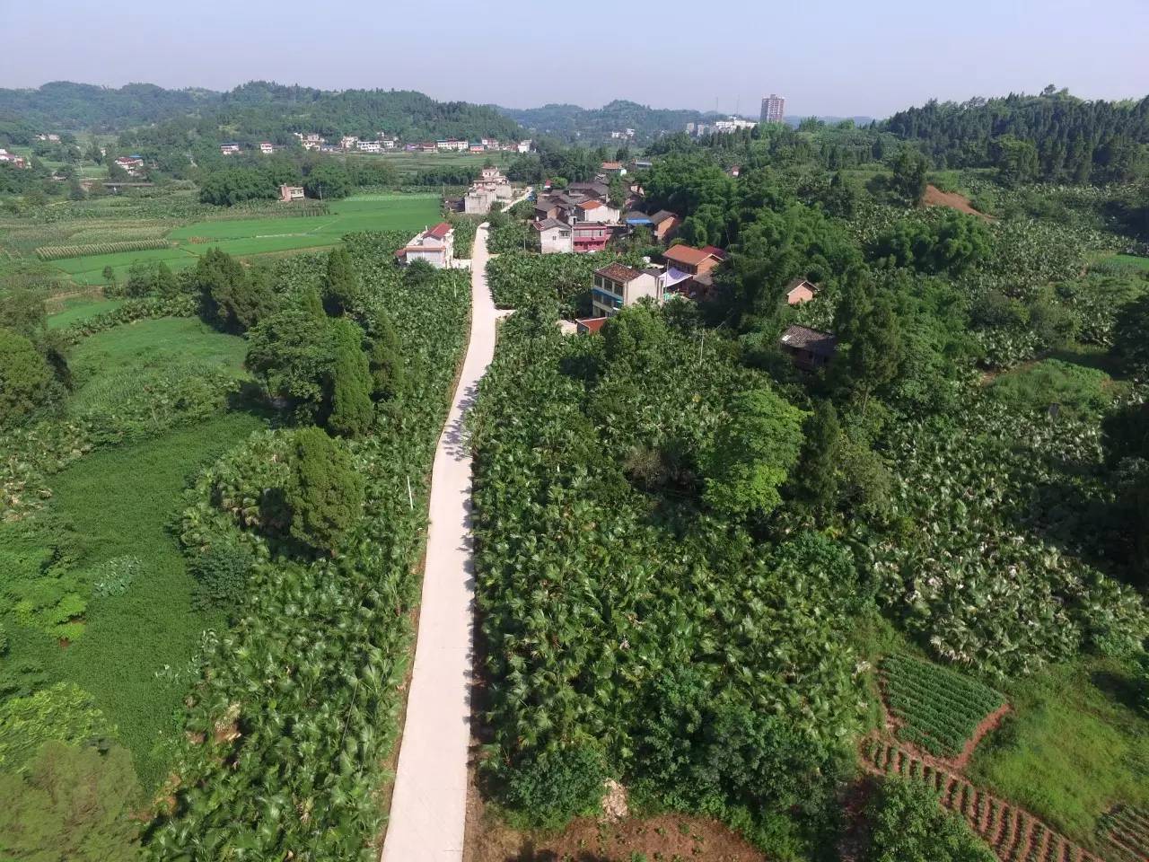  p>杨家镇,隶属于 a target="_blank" href="/item/四川/212569" data