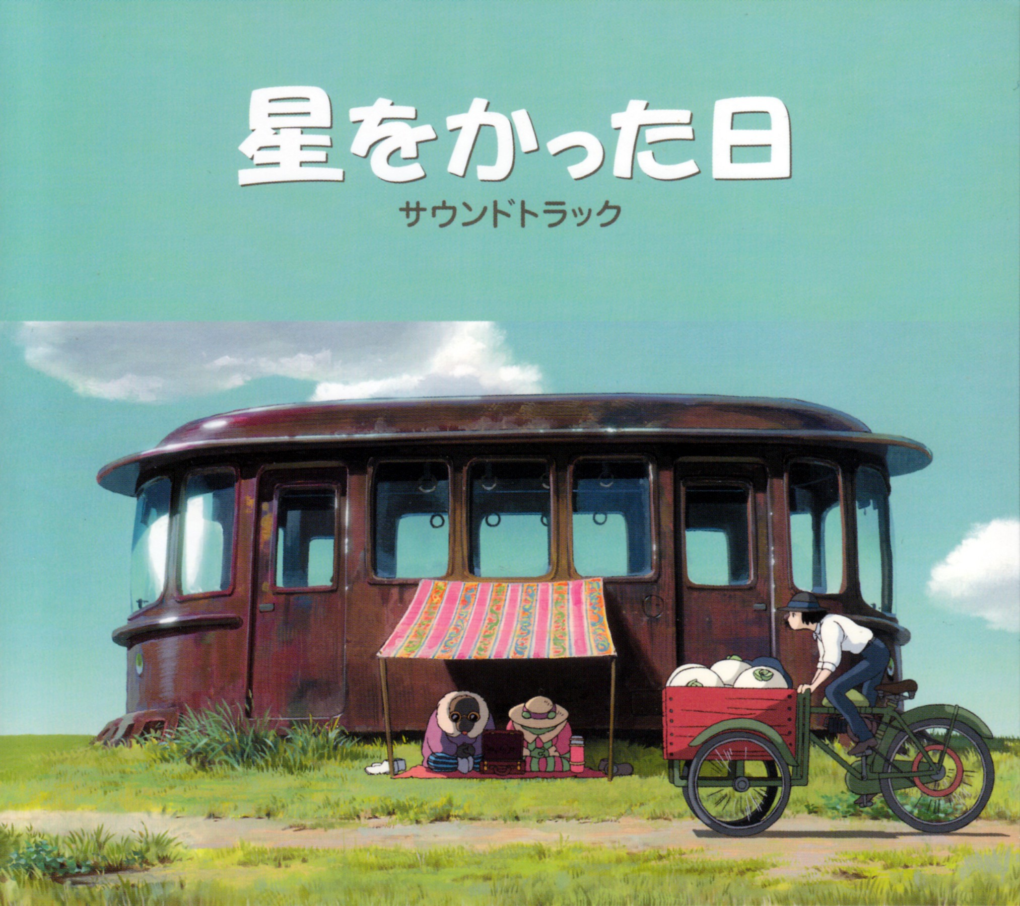 种下星星的日子