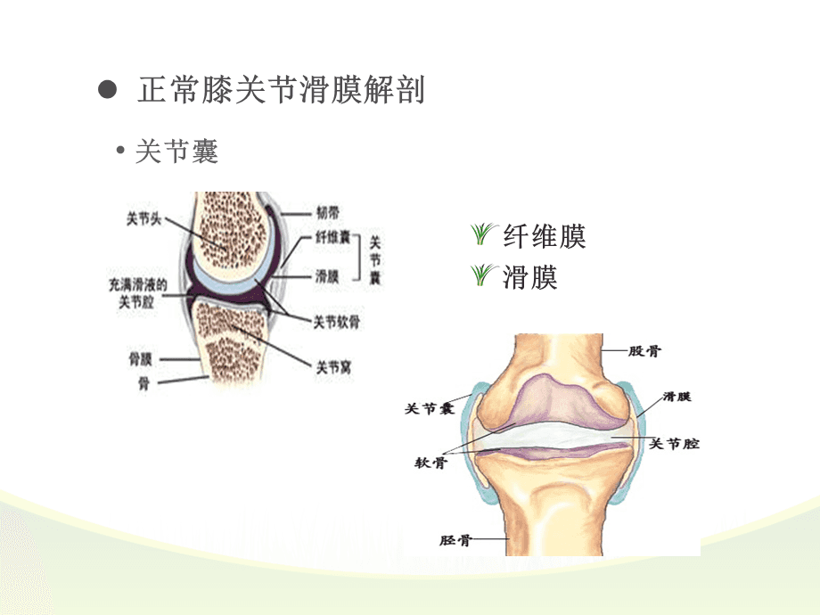  p>滑膜关节(synovial joint)常简称关节,由两块或两块以上的骨构成