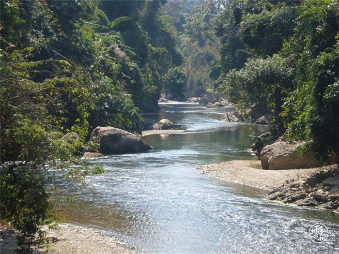  p>始建于1980年的国保级南滚河自然保护区,总面积为7082公顷,位于