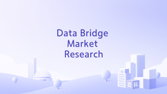 Data Bridge Market Research_百度百科