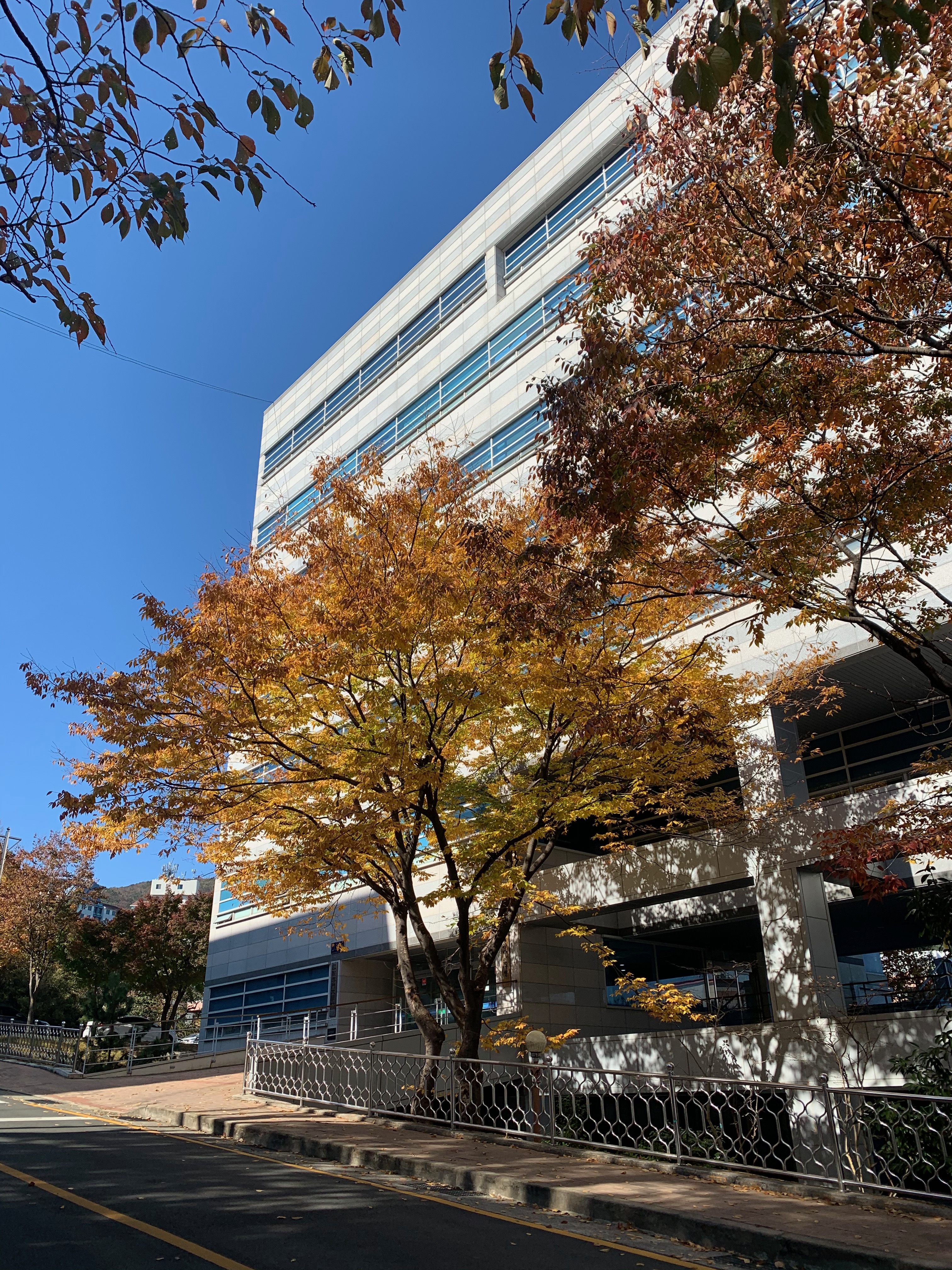 韩国釜山国立大学