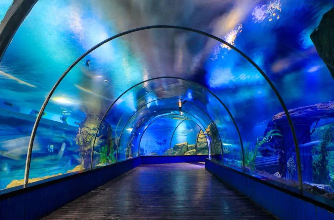  p>海洋极地馆位于辽宁省大连市中山区境内,由珊瑚馆,鸟语林等组成.